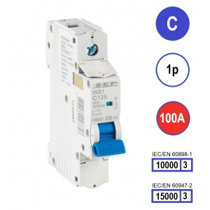 Schotman Elektro B.V. - SEP INS1-1C100 - 10/15kA