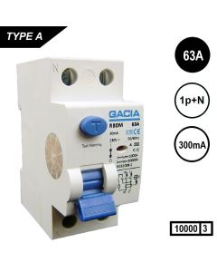 R80M-2p-63A-300mA