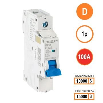 Schotman Elektro B.V. - SEP INS1-1D100 - 10/15kA