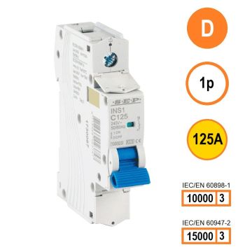 Schotman Elektro B.V. - SEP INS1-1D125 - 10/15kA