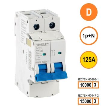 Schotman Elektro B.V. - SEP INS1-1ND125 - 10/15kA