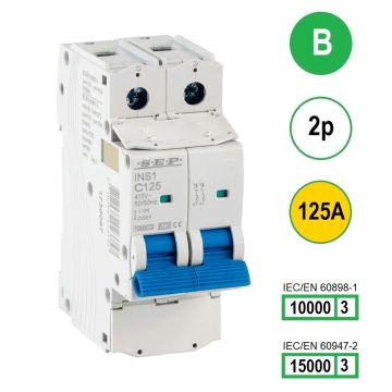 Schotman Elektro B.V - SEP INS1-2B125 - 10/15kA