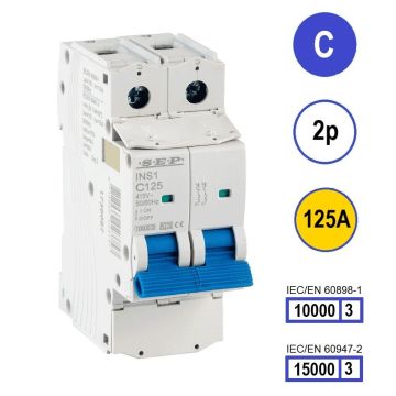 Schotman Elektro B.V. - SEP INS1-2C125 - 10/15kA
