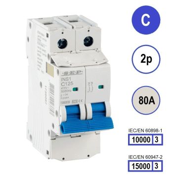 Schotman Elektro B.V. - SEP INS1-2C80 - 10/15kA