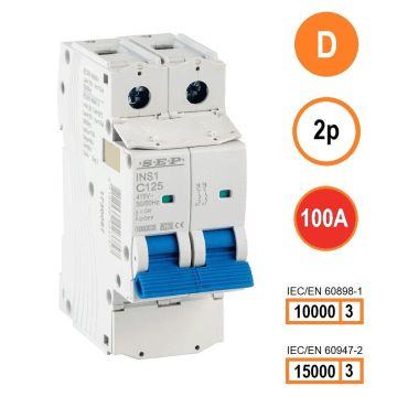 Schotman Elektro B.V. - SEP INS1-2D100 - 10/15kA