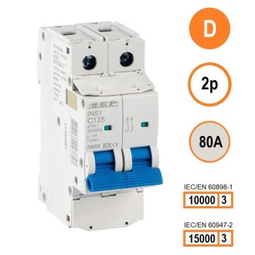 Schotman Elektro B.V. - SEP INS1-2D80 - 10/15kA