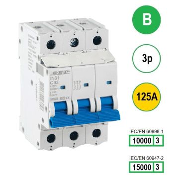 Schotman Elektro B.V. - SEP INS1-3B125 - 10/15kA