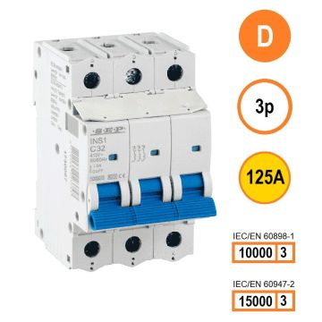 Schotman Elektro B.V. - SEP INS1-3D125 - 10/15kA