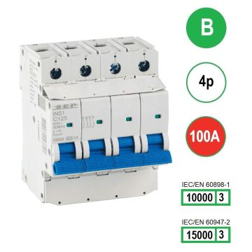 Schotman Elektro B.V. - SEP INS1-4B100 - 10/15kA