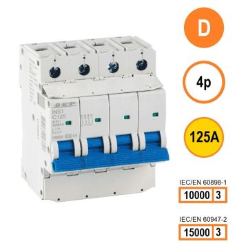 Schotman Elektro B.V. - SEP INS1-4D125 - 10/15kA