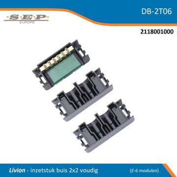 SEP DB-2T06 Livion inzetstuk buisinvoer 2×2 (4 invoeren) – compleet met aardrail en lasklem-montagehouder – 6 modulen
