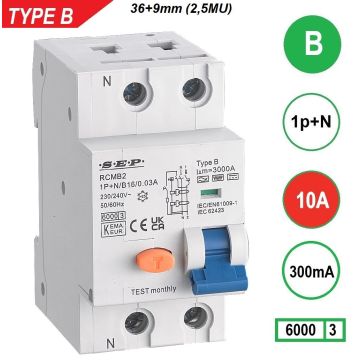 S:\Externe Documenten - SE\Tarief afbeeldingen\SEP producten\RCMB\SEP RCMB-2B10-300ma.jpg